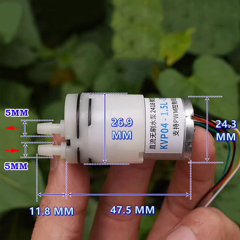 DC 6V 9V 12V Mini 310 Borstell - Mini Peristaltic Pump 12V recensie en prijs